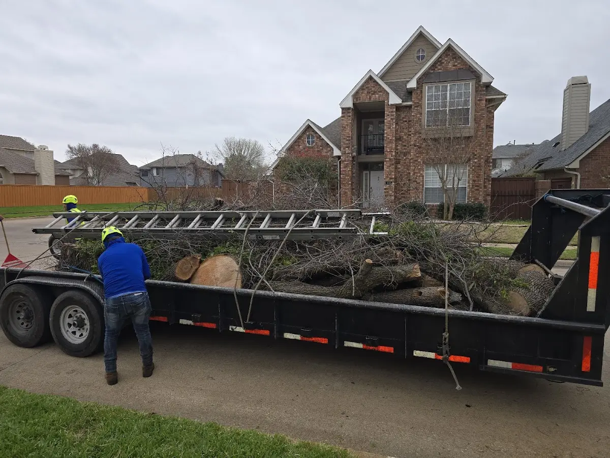Expert Crown Reduction with proper safety equipment in Deerfield